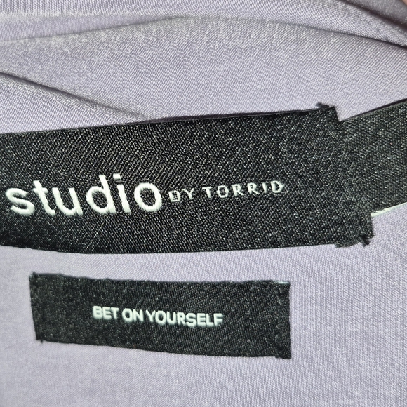 Torrid Lavender Blazer - Picture 5 of 6